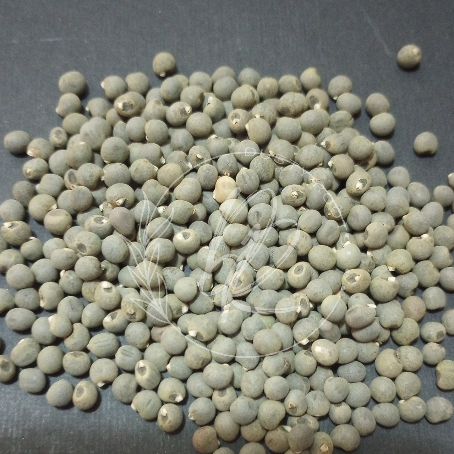 Seed- Okra- Clemson Spineless