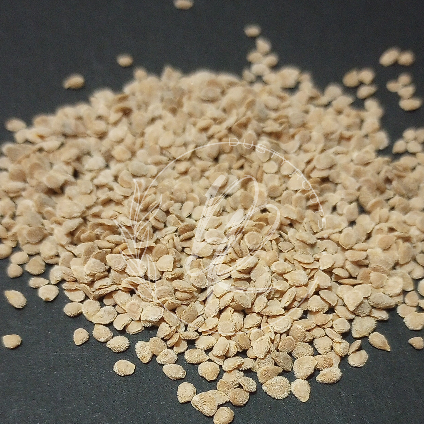 Seed- Tomato- Beefsteak White