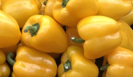 Seed- Pepper- Golden California Wonder