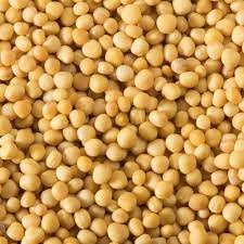 Seed- Mustard- Southern Giant Curled