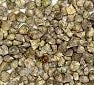 Seed- Spinach- Imperial Green
