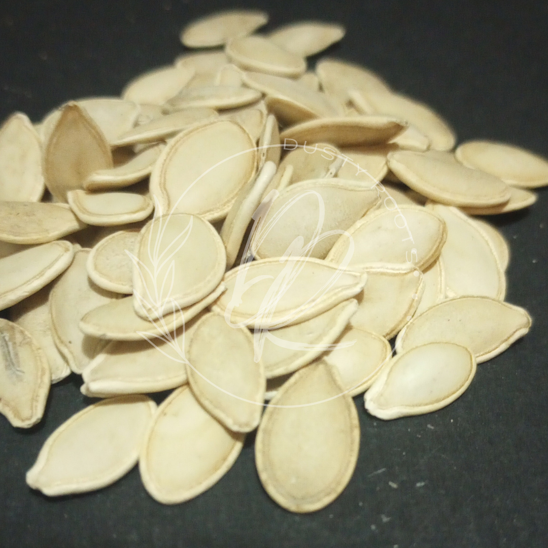 Seed- Pumpkin- Sugar Pie