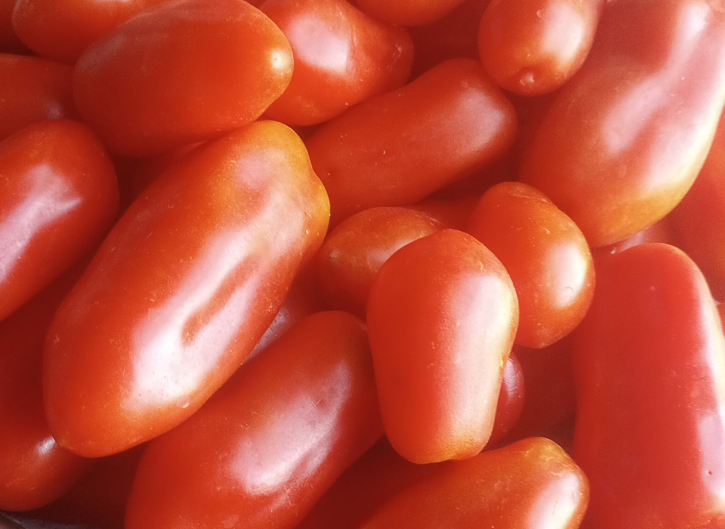 Produce- Tomato