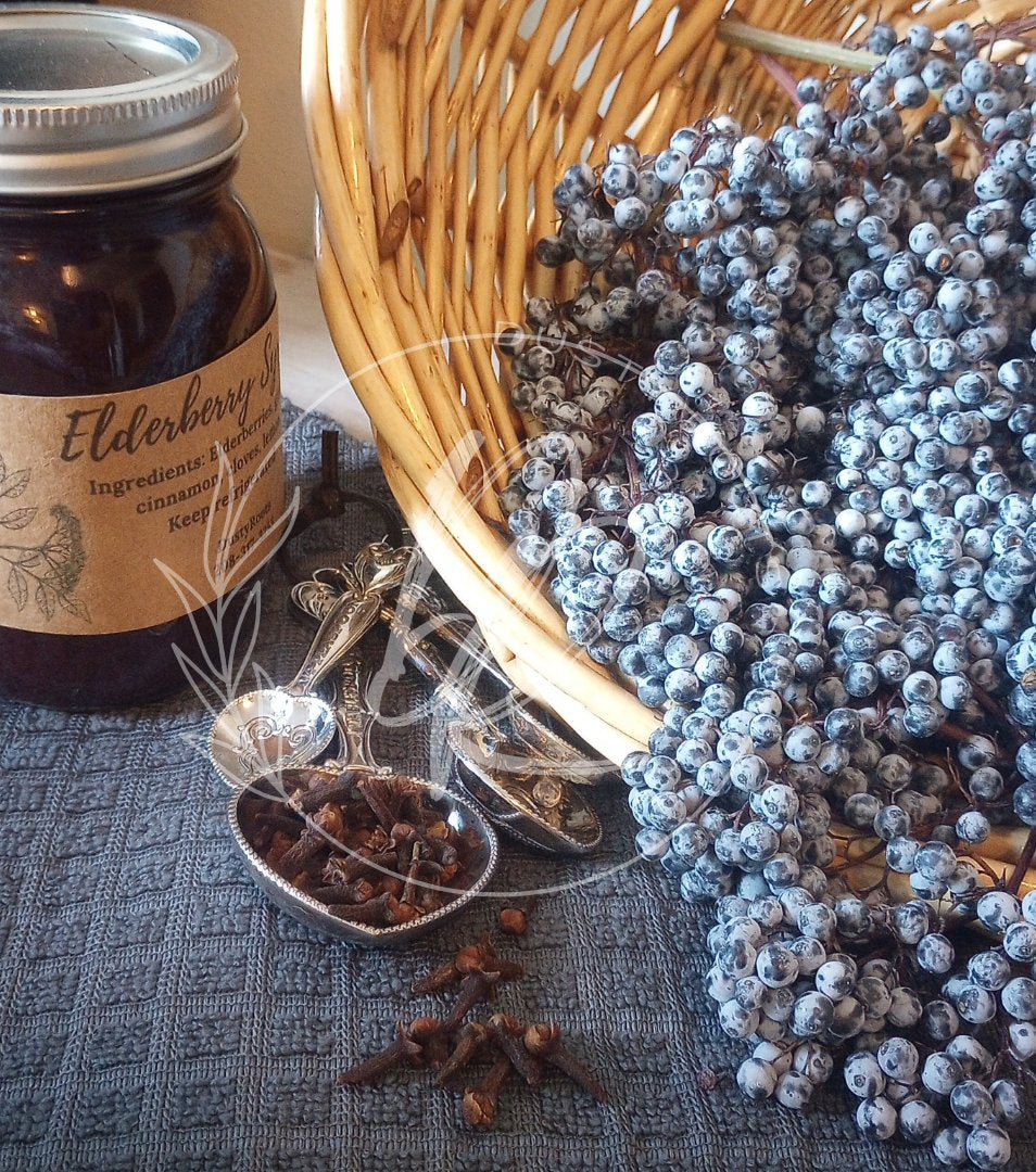 Elderberry Syrup