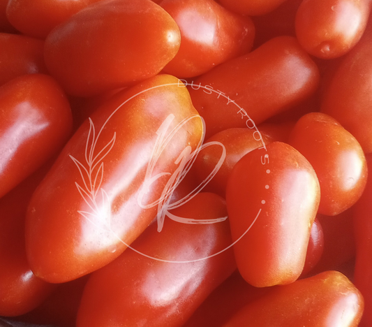 Plant- Tomato- San Marzano