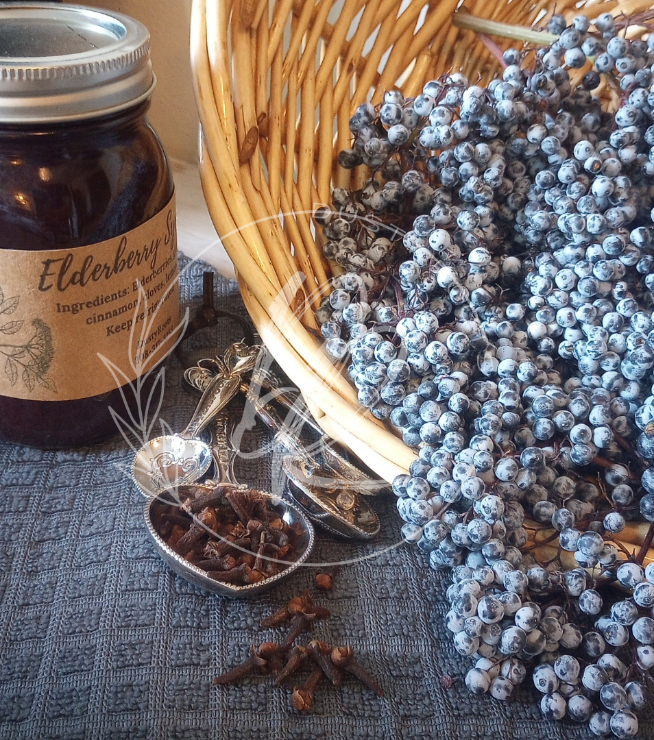 Immune Boosting Elderberry Syrup