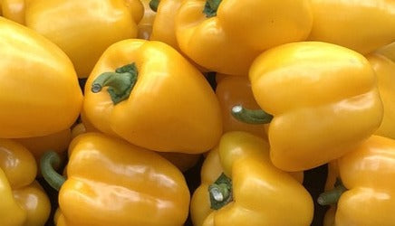 Plant- Pepper- Golden California Wonder