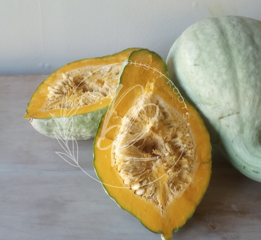 Seed- Squash- Blue Hubbard