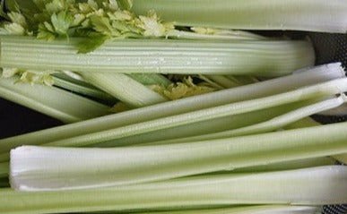 Seed- Celery- Giant Pascal