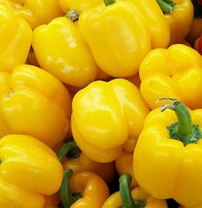 Seed- Pepper- Mini Bell Yellow