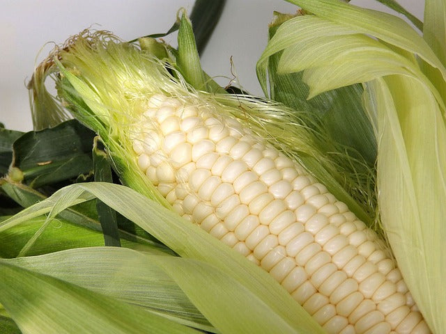 Seed- Corn- Stowell's Evergreen Sweet