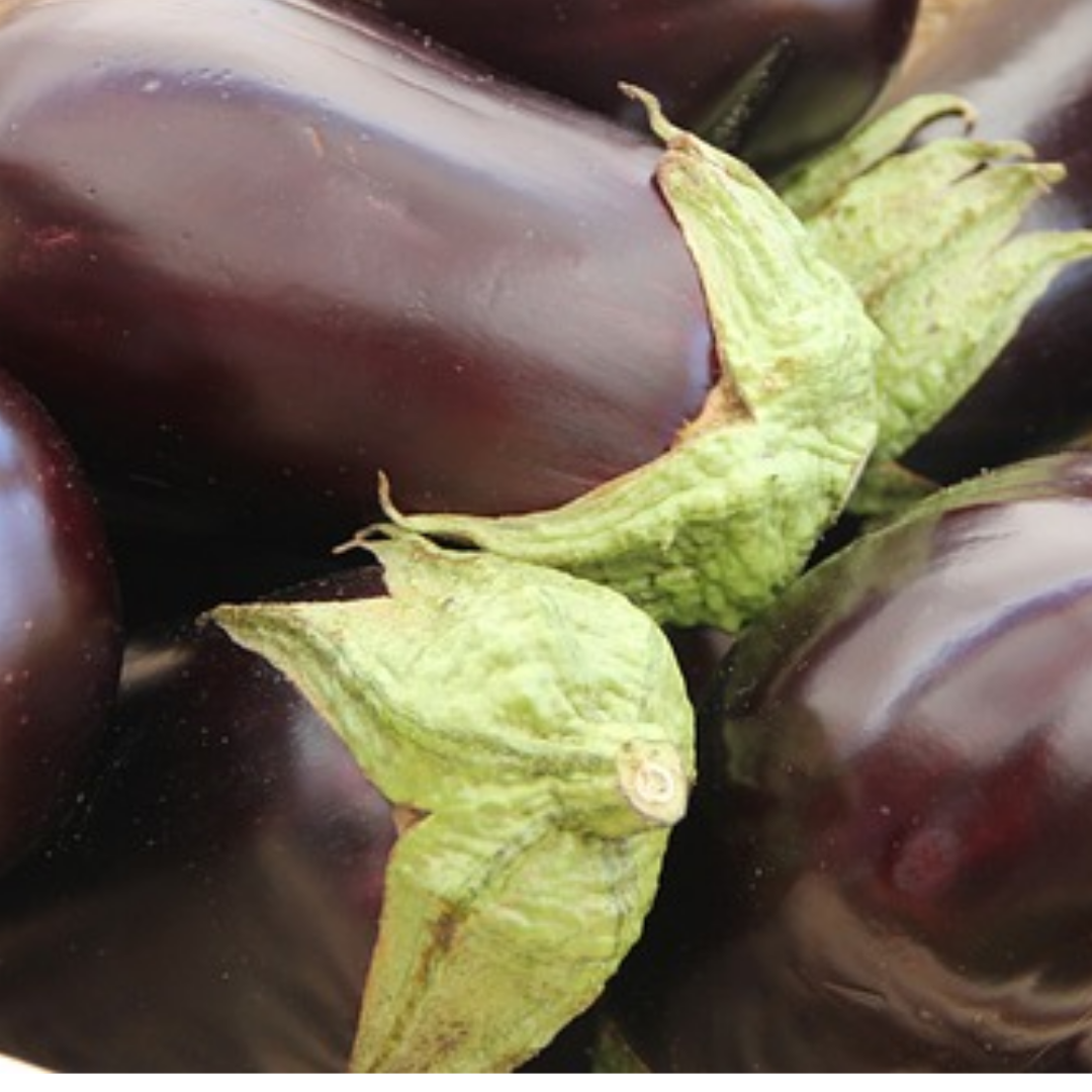 Seed- Eggplant- Black Beauty