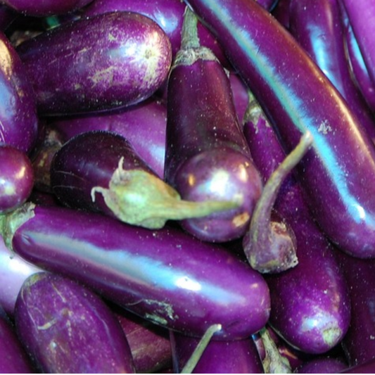 Seed- Eggplant- Long Purple