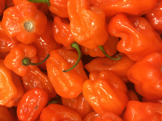 Seed- Pepper- Habanero Orange