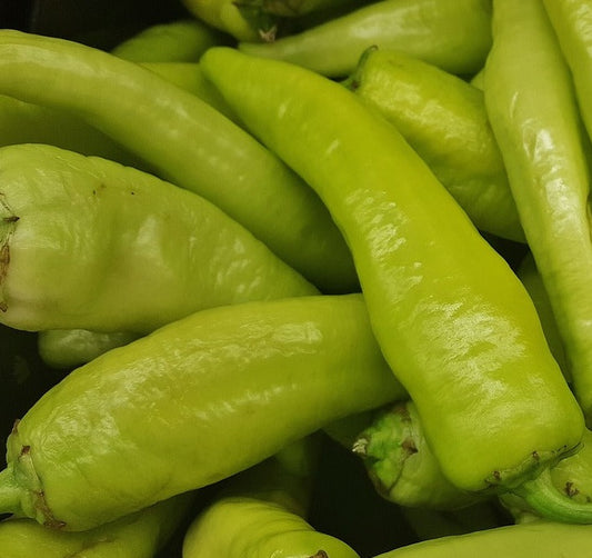 Plant- Pepper- Hungarian Hot Wax