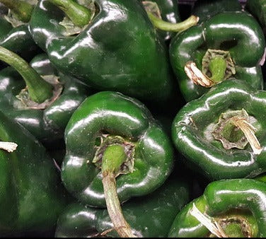 Seed- Pepper- Poblano