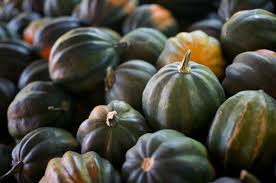 Seed- Squash- Table King Bush Acorn