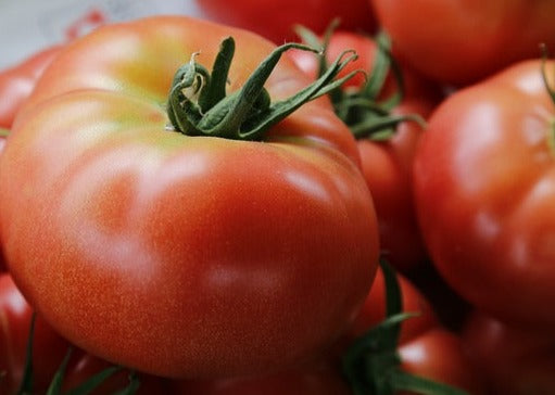 Seed- Tomato- Brandywine Pink