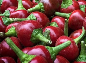 Plant- Pepper- Cherry Red