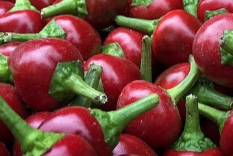 Seed- Pepper- Cherry Red