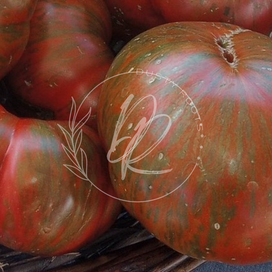 Plant- Tomato- Vintage Wine