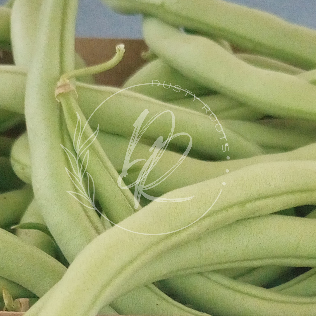 Produce- Beans