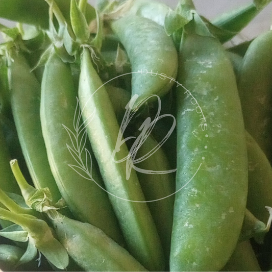 Seed- Pea- Sugar Snap