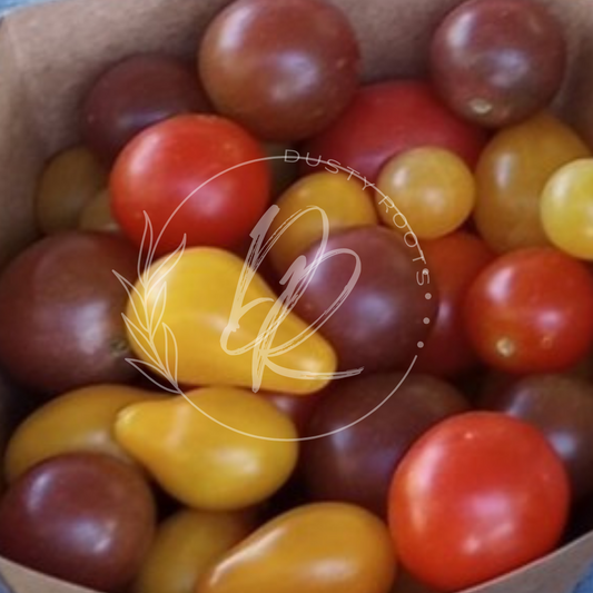 Plant- Tomato- Cherry Mix